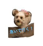 キャバプー☆ビビ☆のスタンプ♪（個別スタンプ：7）