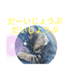 ジローがもの申す（個別スタンプ：14）