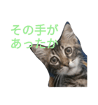 ジローがもの申す（個別スタンプ：15）