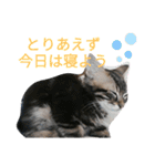 ジローがもの申す（個別スタンプ：17）