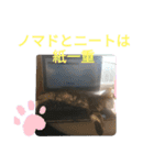 ジローがもの申す（個別スタンプ：21）