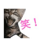 ジローがもの申す（個別スタンプ：23）