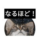 ジローがもの申す（個別スタンプ：24）