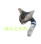 ジローがもの申す（個別スタンプ：25）