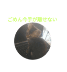 ジローがもの申す（個別スタンプ：28）
