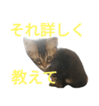 ジローがもの申す（個別スタンプ：29）