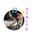 ジローがもの申す（個別スタンプ：33）
