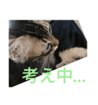 ジローがもの申す（個別スタンプ：35）