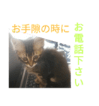 ジローがもの申す（個別スタンプ：36）