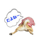はる vo.2（個別スタンプ：2）