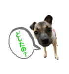 はる vo.2（個別スタンプ：5）