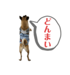 はる vo.2（個別スタンプ：6）