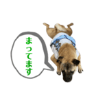 はる vo.2（個別スタンプ：9）