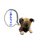 はる vo.2（個別スタンプ：10）