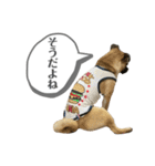 はる vo.2（個別スタンプ：11）