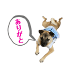 はる vo.2（個別スタンプ：12）