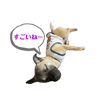 はる vo.2（個別スタンプ：18）