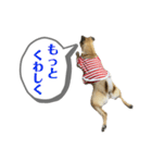 はる vo.2（個別スタンプ：19）