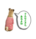はる vo.2（個別スタンプ：21）