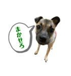 はる vo.2（個別スタンプ：22）