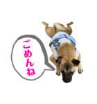 はる vo.2（個別スタンプ：23）