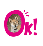 dog  face  the  REON 2（個別スタンプ：3）