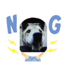 dog  face  the  REON 2（個別スタンプ：6）