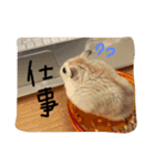 かるびのスタンプ♡（個別スタンプ：5）