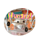 かるびのスタンプ♡（個別スタンプ：6）