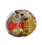 かるびのスタンプ♡（個別スタンプ：11）