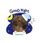 サーフ君（個別スタンプ：8）
