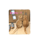 舞浜キャッツ（個別スタンプ：10）
