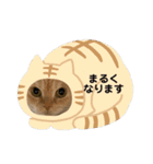舞浜キャッツ（個別スタンプ：25）