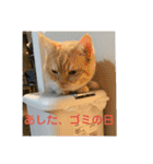 舞浜キャッツ（個別スタンプ：28）