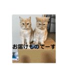 舞浜キャッツ（個別スタンプ：32）
