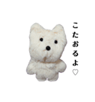 こた、おるよ♡（個別スタンプ：1）