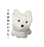 こた、おるよ♡（個別スタンプ：5）
