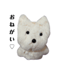 こた、おるよ♡（個別スタンプ：7）