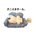 こた、おるよ♡（個別スタンプ：14）