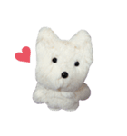 こた、おるよ♡（個別スタンプ：15）