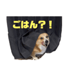 マックメロン（個別スタンプ：9）