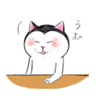 【毎日使える】富士額猫の日常 其の二（個別スタンプ：17）