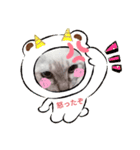 のり弁channel（個別スタンプ：6）