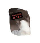 のり弁channel（個別スタンプ：8）