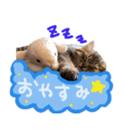 りりースタジオ.（個別スタンプ：5）