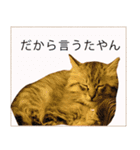 りりースタジオ.（個別スタンプ：9）