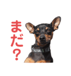 KCP (mami fam)（個別スタンプ：5）