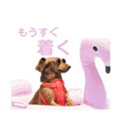 KCP (mami fam)（個別スタンプ：7）