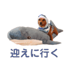 KCP (mami fam)（個別スタンプ：8）