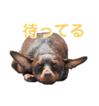 KCP (mami fam)（個別スタンプ：10）
